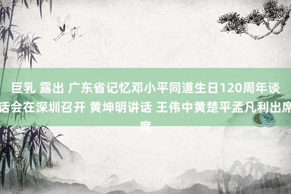 巨乳 露出 广东省记忆邓小平同道生日120周年谈话会在深圳召开 黄坤明讲话 王伟中黄楚平孟凡利出席