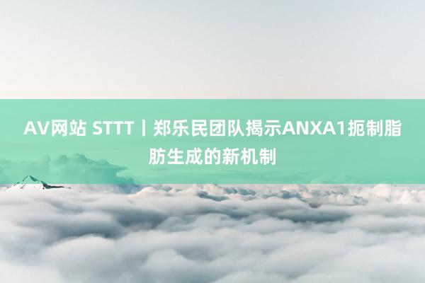 AV网站 STTT丨郑乐民团队揭示ANXA1扼制脂肪生成的新机制