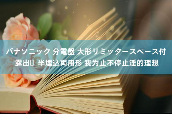 パナソニック 分電盤 大形リミッタースペース付 露出・半埋込両用形 我为止不停止淫的理想