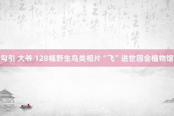 勾引 大爷 128幅野生鸟类相片“飞”进世园会植物馆