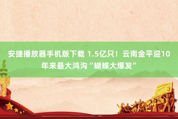 安捷播放器手机版下载 1.5亿只！云南金平迎10年来最大鸿沟“蝴蝶大爆发”