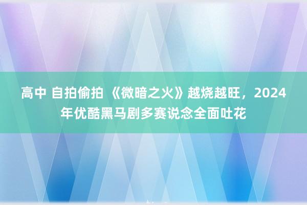 高中 自拍偷拍 《微暗之火》越烧越旺，2024年优酷黑马剧多赛说念全面吐花