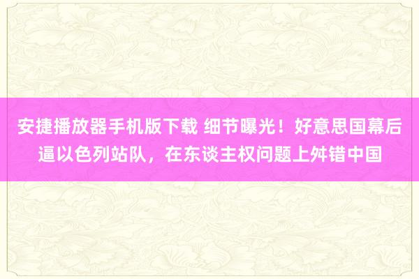 安捷播放器手机版下载 细节曝光！好意思国幕后逼以色列站队，在东谈主权问题上舛错中国