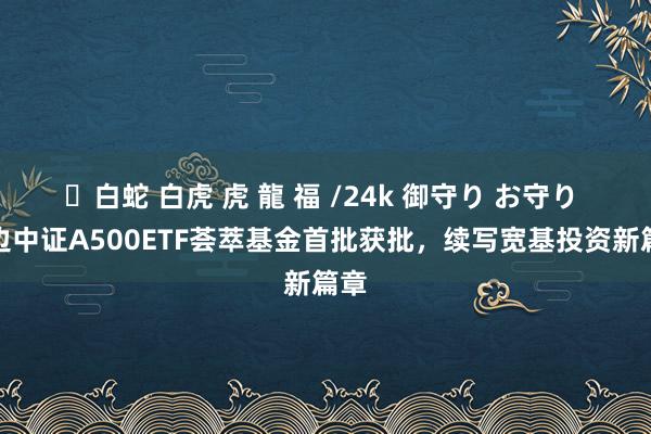 ✨白蛇 白虎 虎 龍 福 /24k 御守り お守り 南边中证A500ETF荟萃基金首批获批，续写宽基投资新篇章