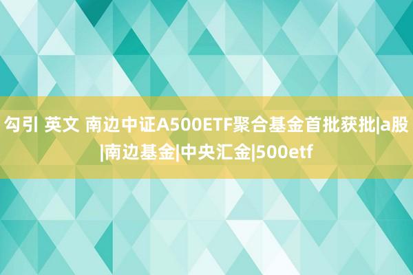 勾引 英文 南边中证A500ETF聚合基金首批获批|a股|南边基金|中央汇金|500etf