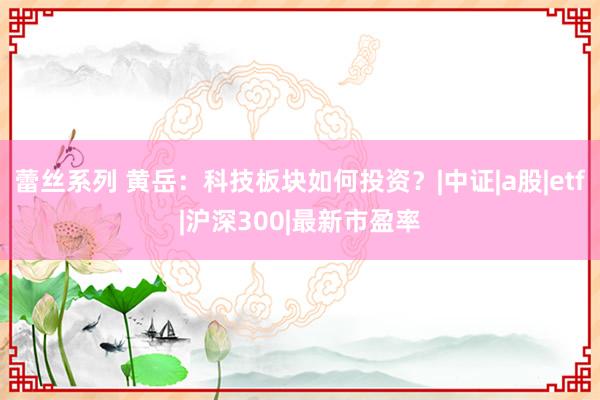 蕾丝系列 黄岳：科技板块如何投资？|中证|a股|etf|沪深300|最新市盈率