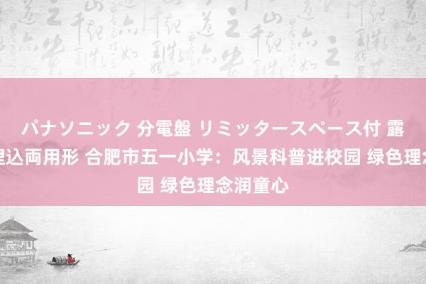 パナソニック 分電盤 リミッタースペース付 露出・半埋込両用形 合肥市五一小学：风景科普进校园 绿色理念润童心