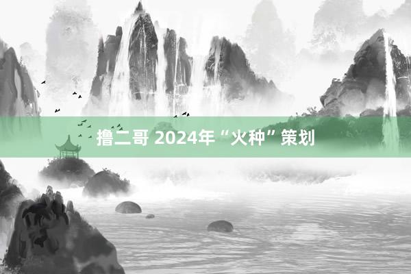 撸二哥 2024年“火种”策划