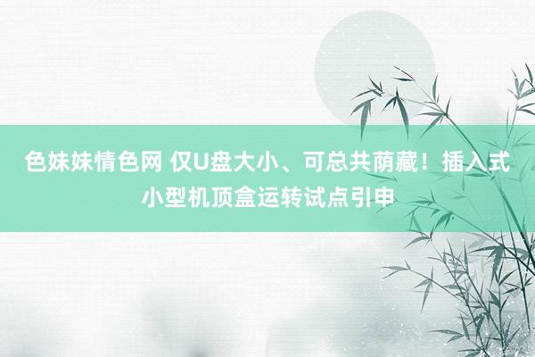 色妹妹情色网 仅U盘大小、可总共荫藏！插入式小型机顶盒运转试点引申